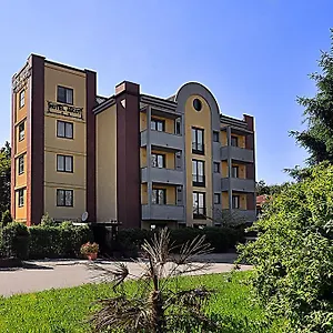 Ascot Cardano Al Campo